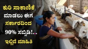 Kuri Sakanike Subsidy Yojane