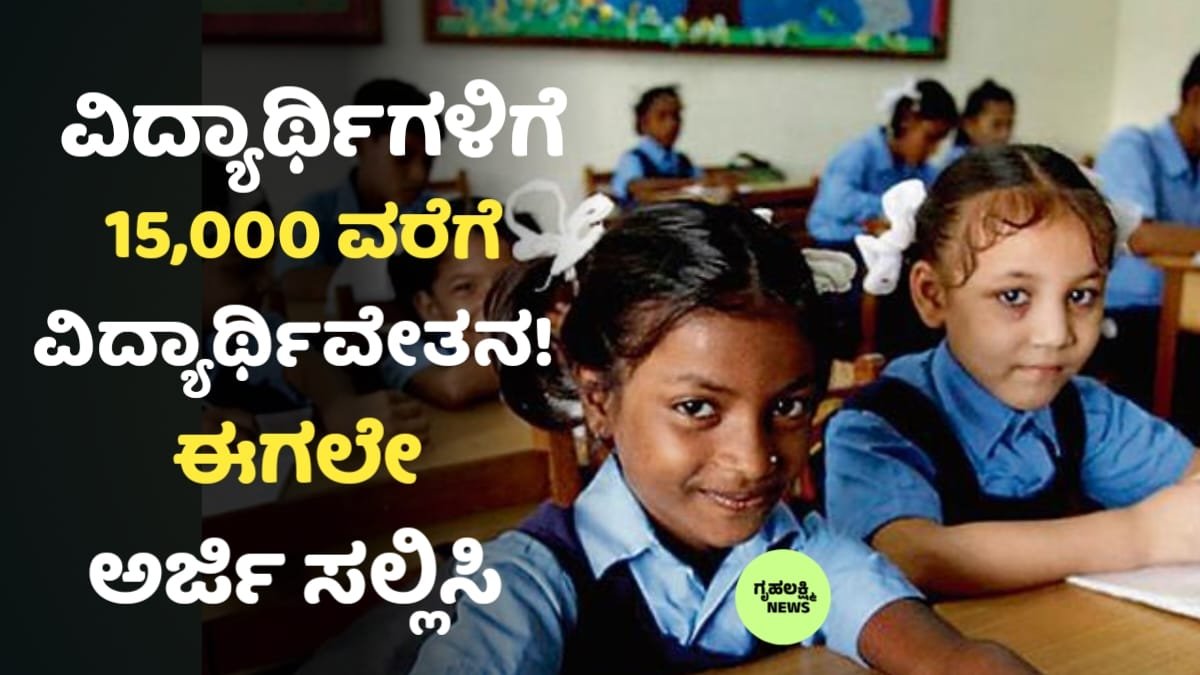 Diploma Scholarship 2026