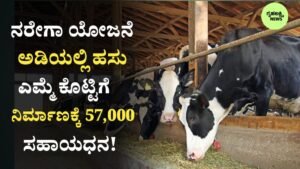 Cow Shed Subsidy Scheme